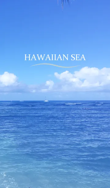 [LINE着せ替え] HAWAIIAN SEA 2の画像1