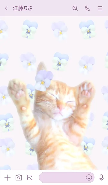 [LINE着せ替え] パンジー ビオラ 猫 茶トラ 花 ラベンダーの画像3