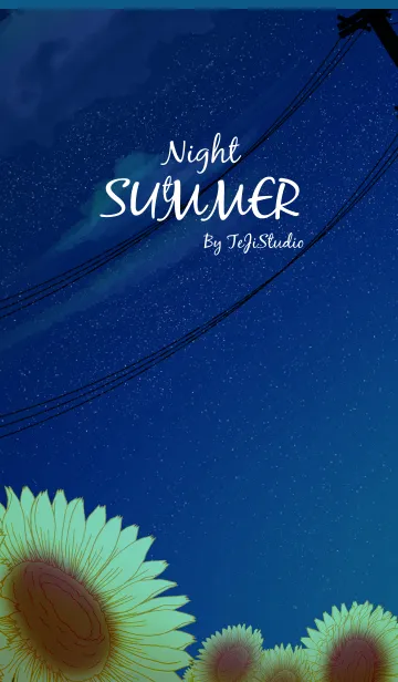 [LINE着せ替え] summer night by TeJiStudioの画像1
