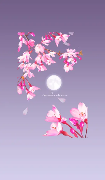 [LINE着せ替え] ～桜～ 月と夜桜 Vol.2の画像1