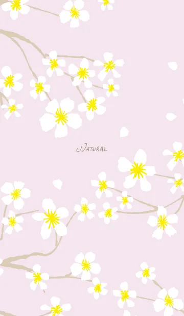 [LINE着せ替え] 白い花咲く パープル5の画像1