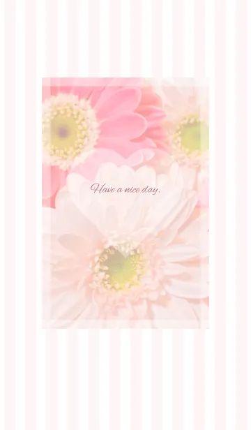 [LINE着せ替え] Pink Gerbera Theme ♡ -2021- 27の画像1