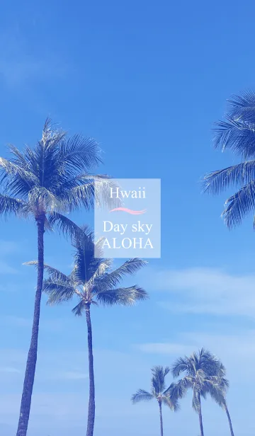 [LINE着せ替え] Hawaii Day Sky ALOHA 2の画像1