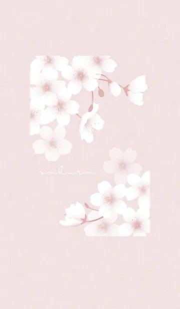 [LINE着せ替え] ～桜～ Vol.19 ピンクの画像1