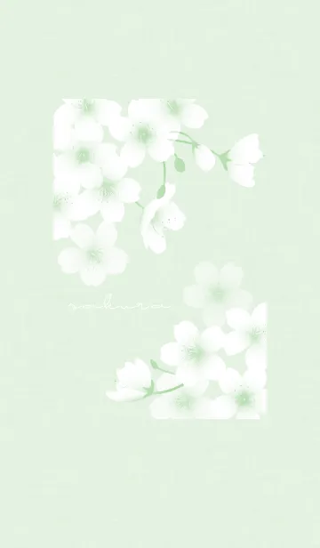 [LINE着せ替え] ～桜～ Vol.21 グリーンの画像1