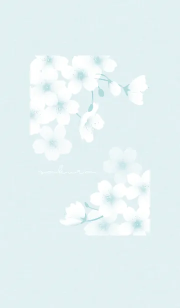 [LINE着せ替え] ～桜～ Vol.22 ブルーの画像1