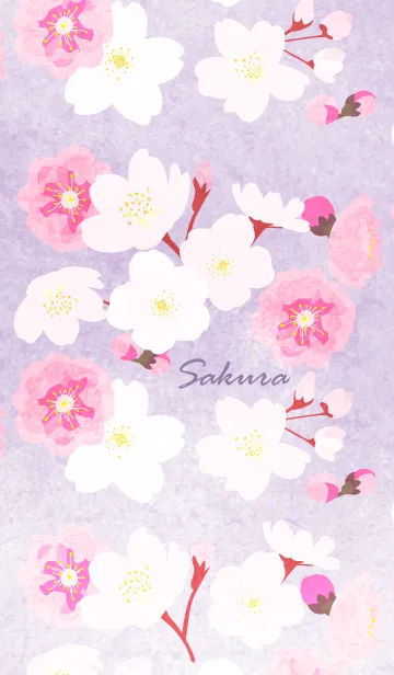 [LINE着せ替え] ～桜～水彩風♪パープルの画像1