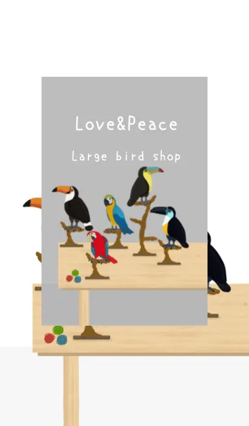 [LINE着せ替え] 人気の大型鳥専門店Open【bird Shop】の画像1