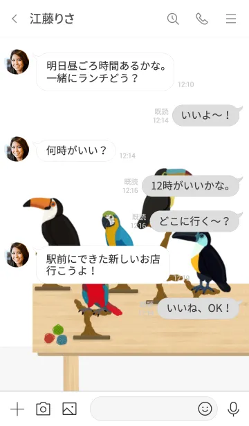 [LINE着せ替え] 人気の大型鳥専門店Open【bird Shop】の画像4