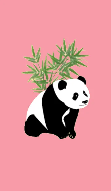 [LINE着せ替え] パンダのイラスト着せ替えの画像1
