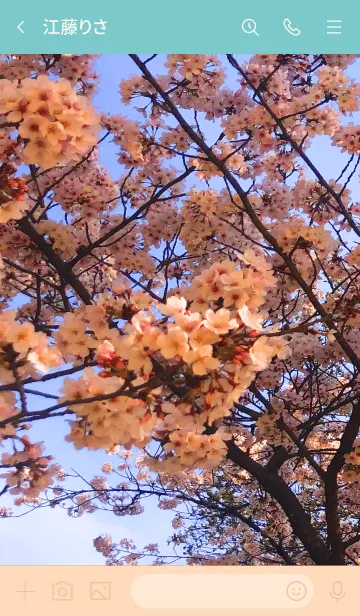 [LINE着せ替え] 花見した～～いの画像3