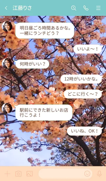 [LINE着せ替え] 花見した～～いの画像4