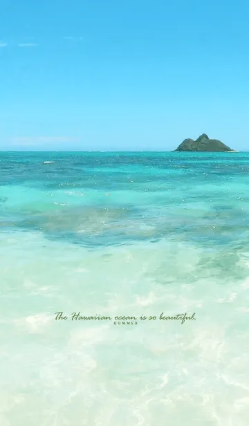 [LINE着せ替え] Hawaiian ocean is so beautiful... 29の画像1