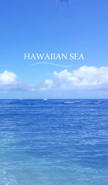 [LINE着せ替え] HAWAIIAN SEA 14の画像1