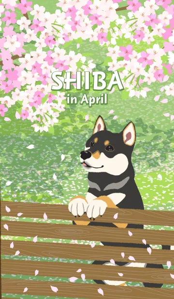 [LINE着せ替え] 4月の柴犬の画像1