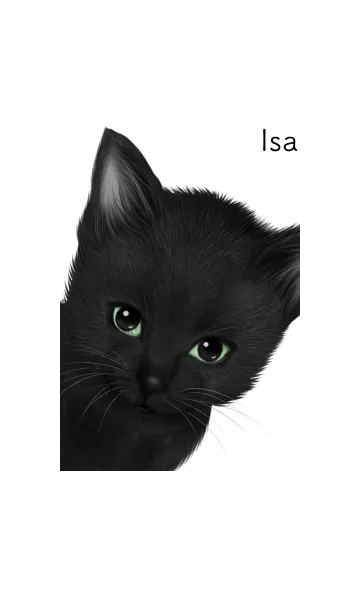 [LINE着せ替え] いさ用可愛い黒猫子猫の画像1