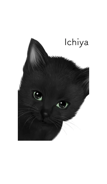 [LINE着せ替え] いちや用可愛い黒猫子猫の画像1