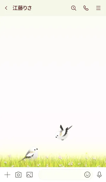 [LINE着せ替え] シマエナガ/グリーン03.v2の画像3