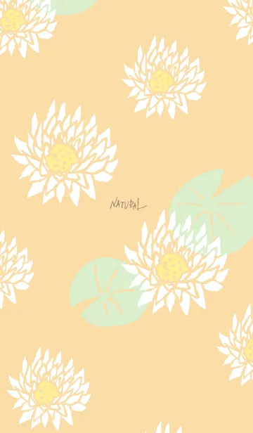 [LINE着せ替え] 白い蓮の花25の画像1