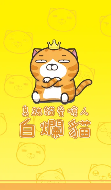 [LINE着せ替え] ランラン猫1 (日本語)の画像1
