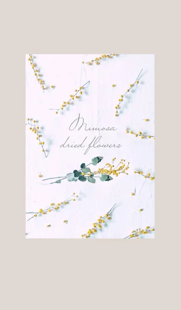 [LINE着せ替え] Mimosa dried flowersの画像1