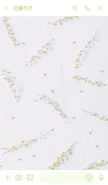 [LINE着せ替え] Mimosa dried flowersの画像3