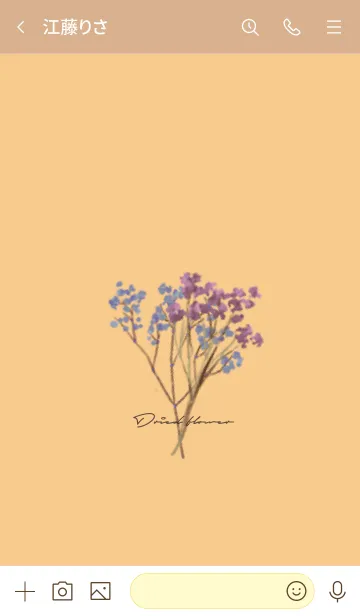 [LINE着せ替え] オレンジ : Dried Flowerの画像3