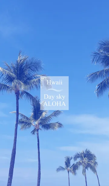 [LINE着せ替え] Hawaii Day Sky ALOHA 12の画像1