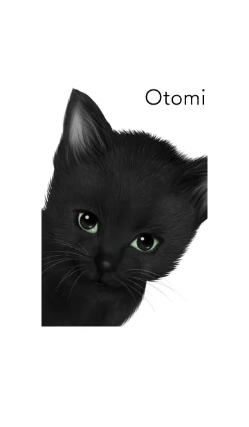 おとみ用可愛い黒猫子猫の着せ替えメイン画像