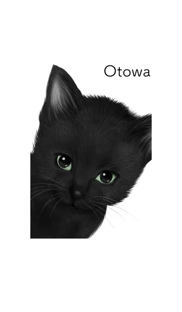 [LINE着せ替え] おとわ用可愛い黒猫子猫の画像1