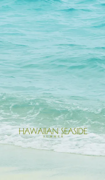HAWAIIAN SEASIDE -MEKYM- 30の着せ替えメイン画像