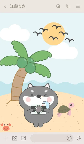 [LINE着せ替え] Black Shiba Inu  On The Beach Theme (JP)の画像3