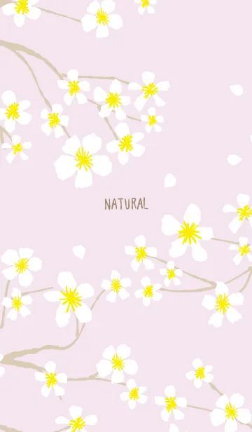 [LINE着せ替え] 白い花咲く パープルの画像1