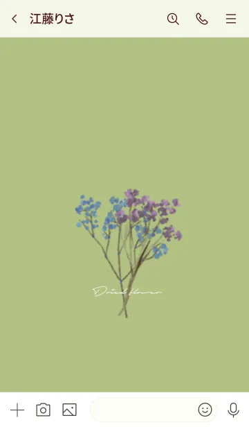 [LINE着せ替え] 黄緑 : Dried Flowerの画像3