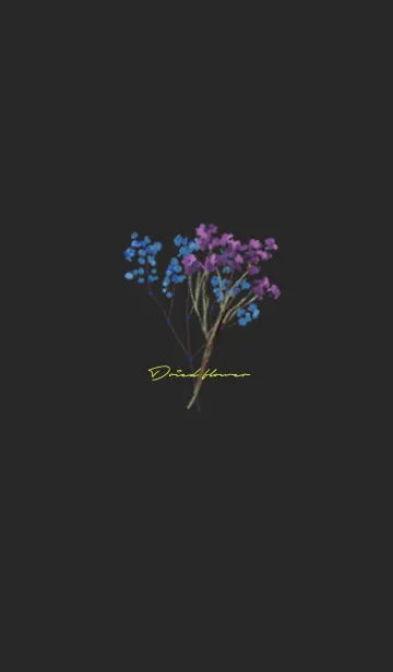 黒と黄色 : Dried Flowerの着せ替えメイン画像