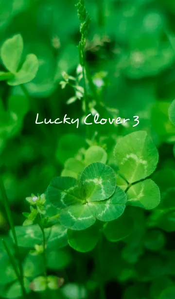 [LINE着せ替え] LuckyClover3の画像1