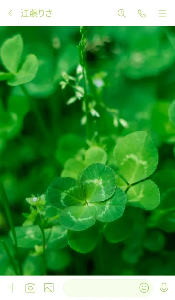 [LINE着せ替え] LuckyClover3の画像3