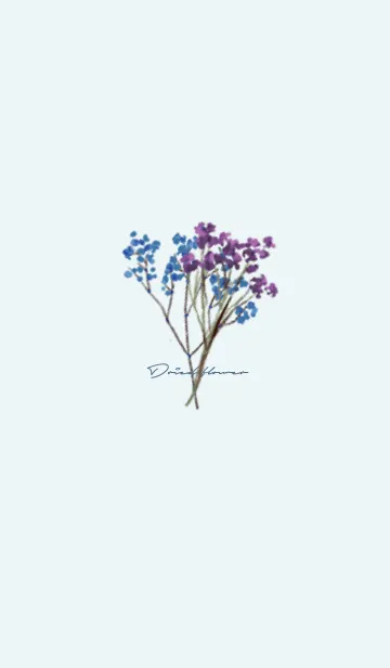 [LINE着せ替え] 青 : Dried Flowerの画像1