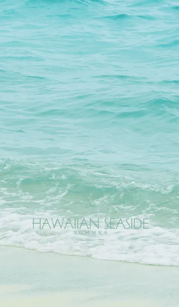 [LINE着せ替え] HAWAIIAN SEASIDE -MEKYM- 35の画像1