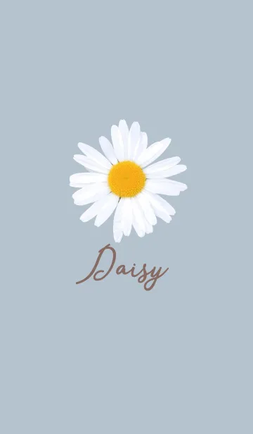 [LINE着せ替え] Daisy_blue_01の画像1