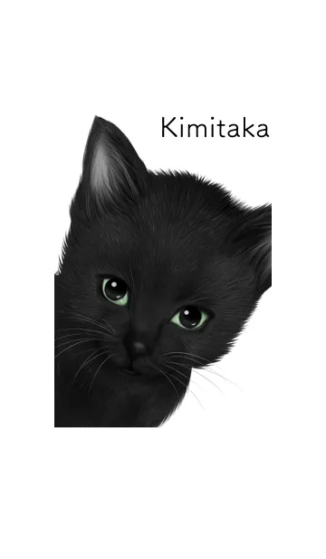 [LINE着せ替え] きみたか用可愛い黒猫子猫の画像1
