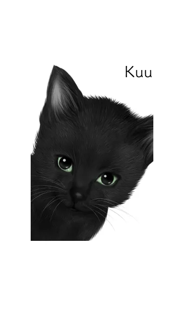 [LINE着せ替え] くう用可愛い黒猫子猫の画像1