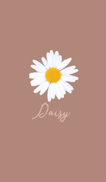 [LINE着せ替え] Daisy_Brown_01の画像1