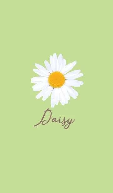 [LINE着せ替え] Daisy_Yellow green & whiteの画像1