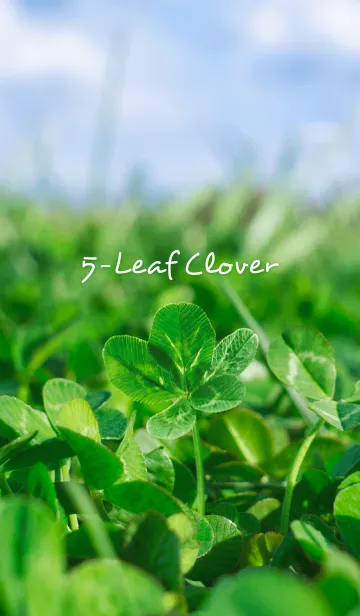 [LINE着せ替え] 5-LeafCloverの画像1