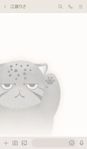 [LINE着せ替え] マヌルネコ着せ替え ◆ベージュ◆の画像3