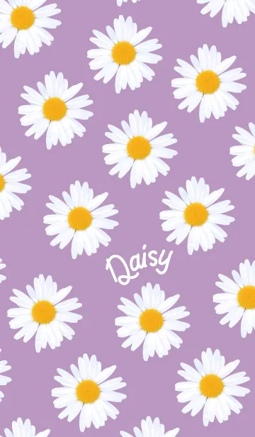 [LINE着せ替え] Daisy_POP Purpleの画像1