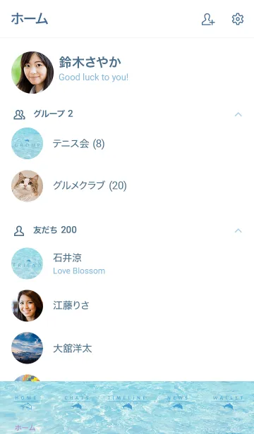 [LINE着せ替え] SUMMER SEA HAWAII-BLUE DOLPHIN 8の画像2