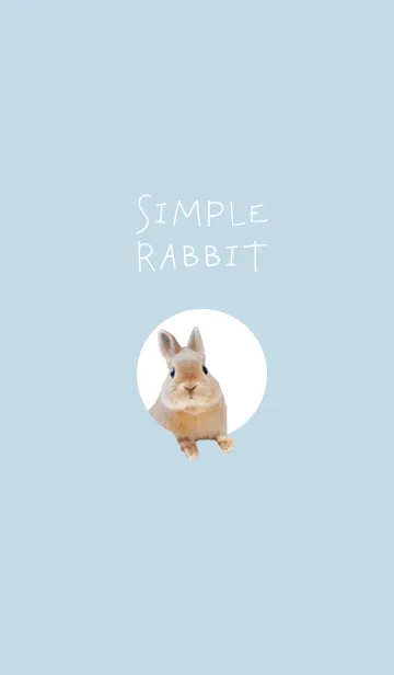 [LINE着せ替え] シンプルでかわいいうさぎの画像1