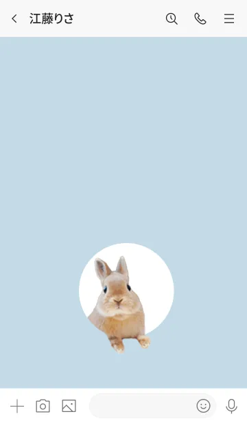 [LINE着せ替え] シンプルでかわいいうさぎの画像3